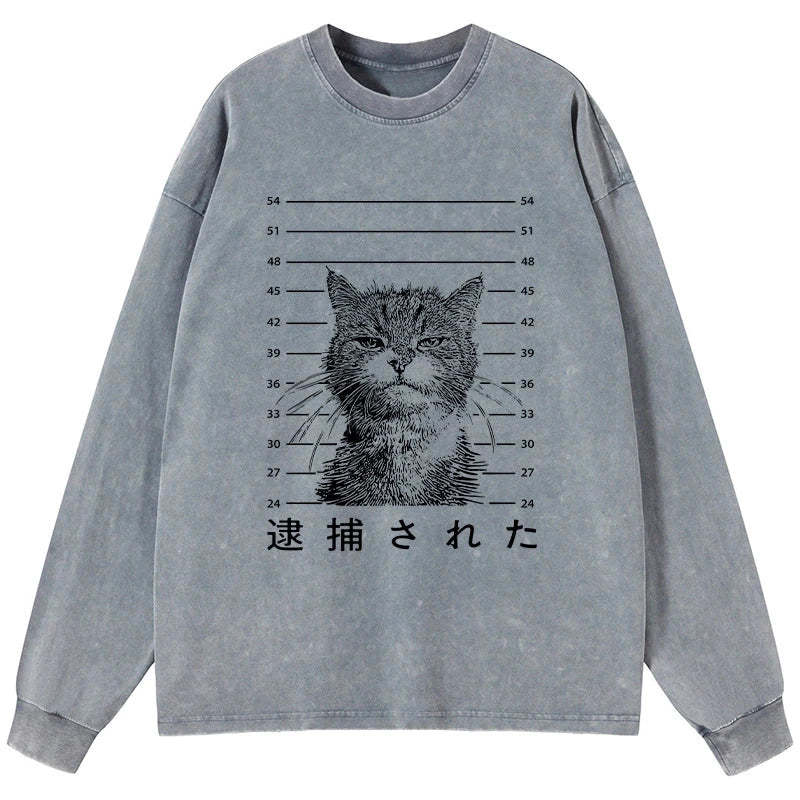 Tokyo-Tiger Cat That Was Arrested Washed Long Sleeve T-Shirt Sale