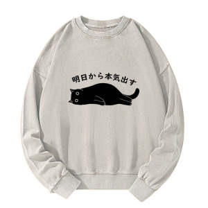 Image of Tokyo-Tiger I'm Going To Get Serious Tomorrow Washed Sweatshirt