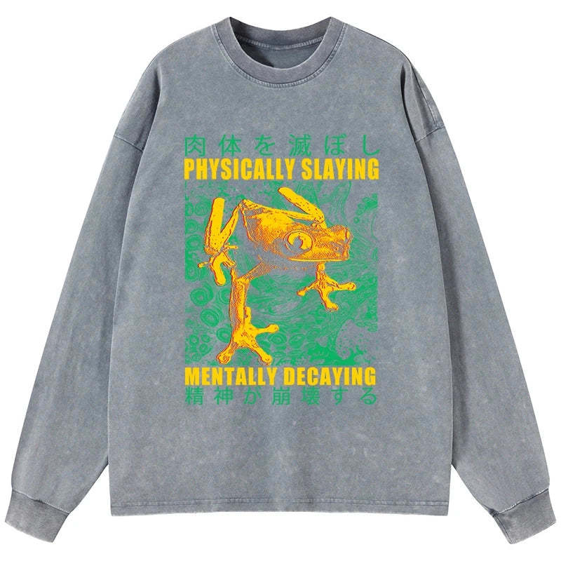 Tokyo-Tiger Physically Slaying Mentally Decaying Washed Long Sleeve T-Shirt Sale
