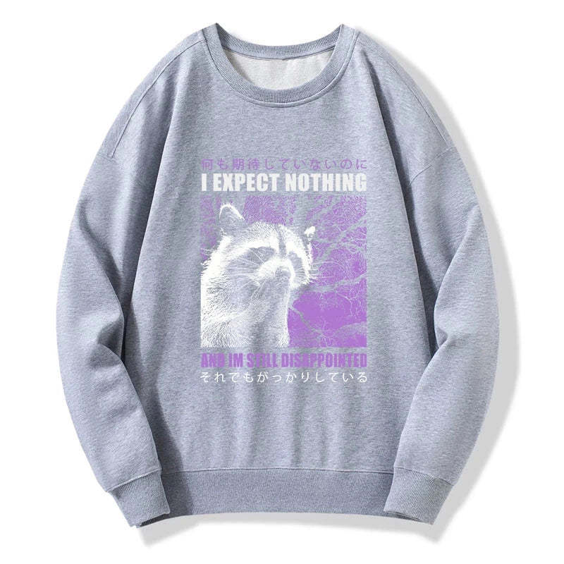 Tokyo-Tiger Disappointed Raccoon Japanese Sweatshirt