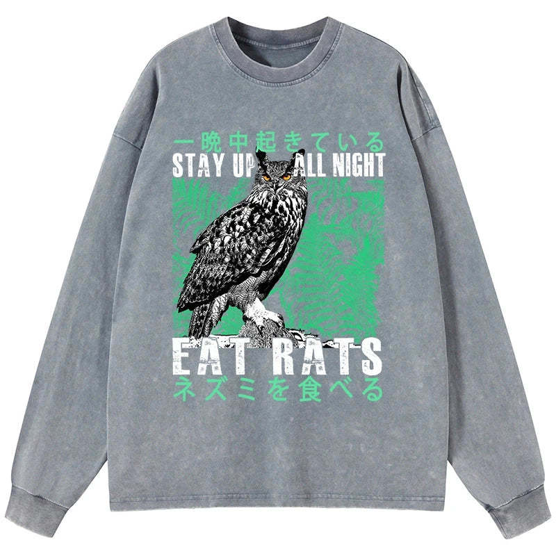 Tokyo-Tiger Owls Prey On Rats At Night Washed Long Sleeve T-Shirt Sale