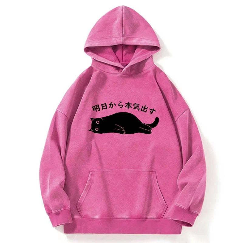 Tokyo-Tiger I'm Going To Get Serious Tomorrow Washed Hoodie Sale