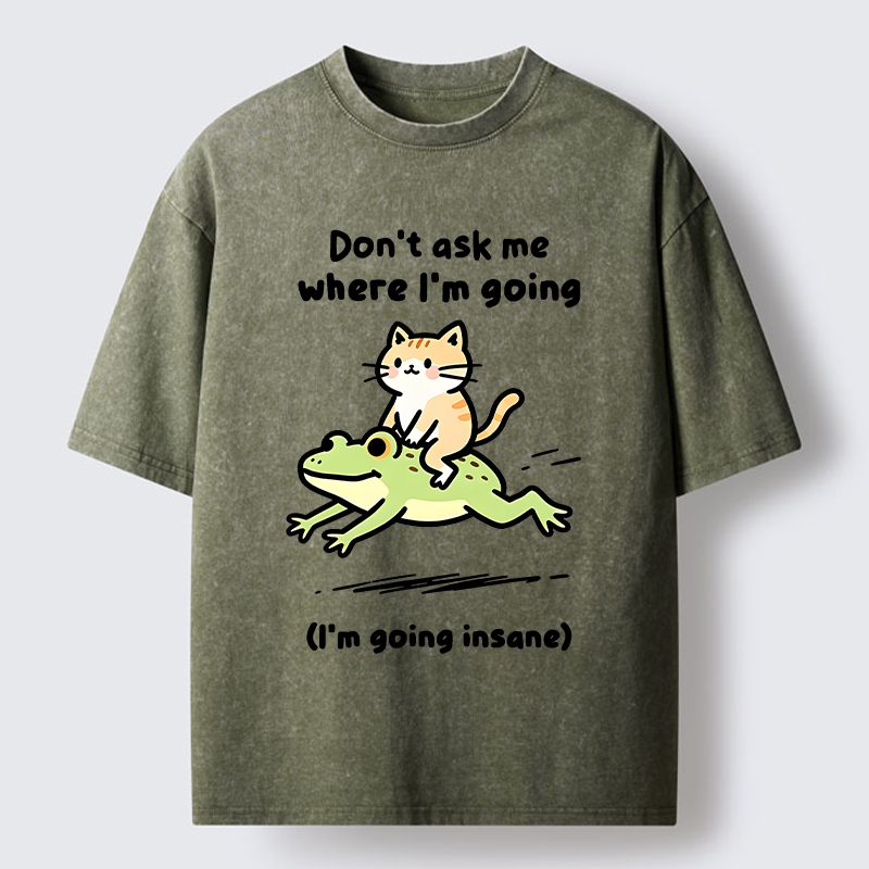 Tokyo‑Tiger Cat Riding Frog Meme Washed T-Shirt