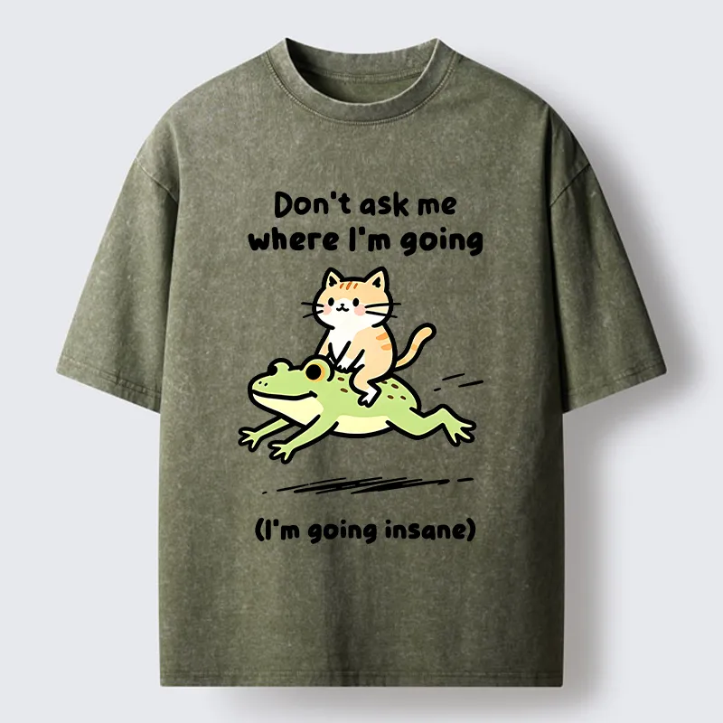 Tokyo‑Tiger Cat Riding Frog Meme Washed T-Shirt