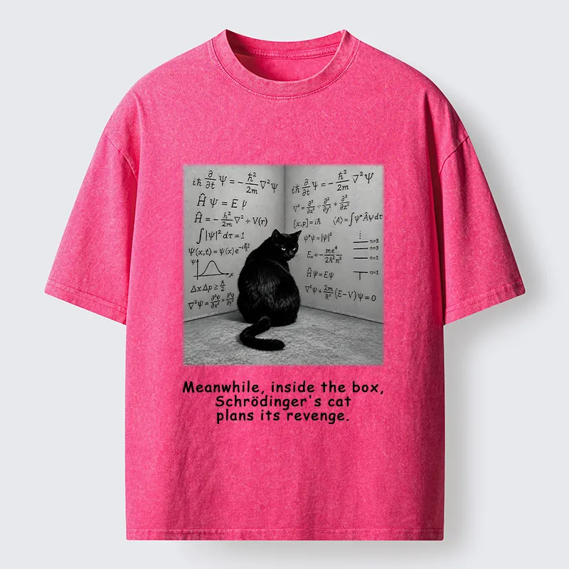 Tokyo-Tiger Box Black Cat Science Meme Washed T-Shirt