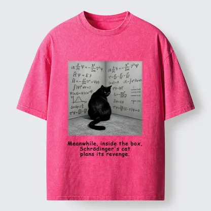 Tokyo-Tiger Box Black Cat Science Meme Washed T-Shirt
