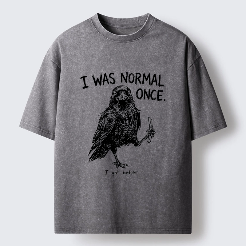 Tokyo‑Tiger Funny Crow Meme Washed T‑Shirt