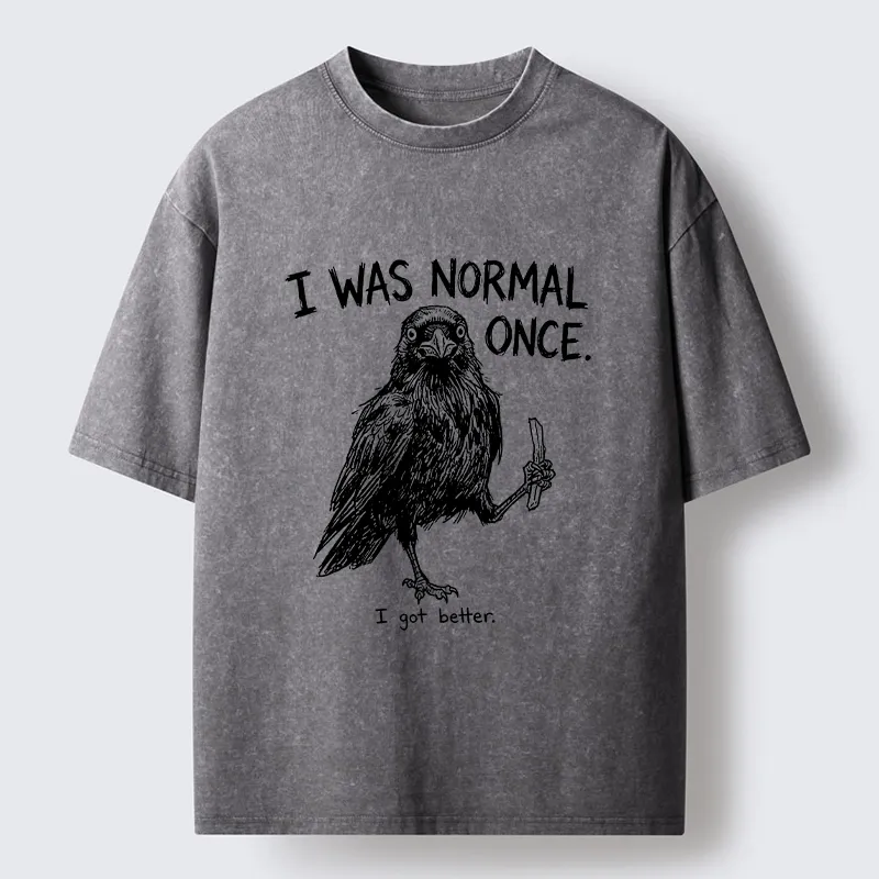 Tokyo‑Tiger Funny Crow Meme Washed T‑Shirt