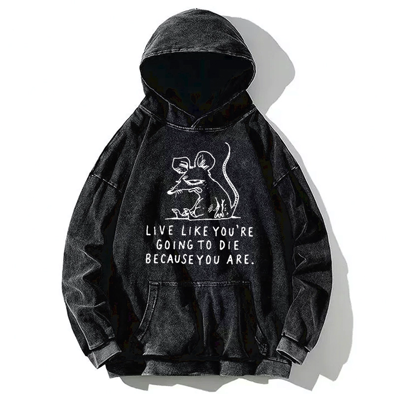 Tokyo-Tiger Funny Meme Sarcastic Rat Life Truth Washed Hoodie