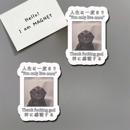 Tokyo-Tiger Funny Melancholy Cat Fridge Magnet