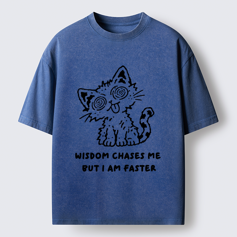 Tokyo-Tiger Escape Wisdom Cat Funny Meme Washed T-Shirt