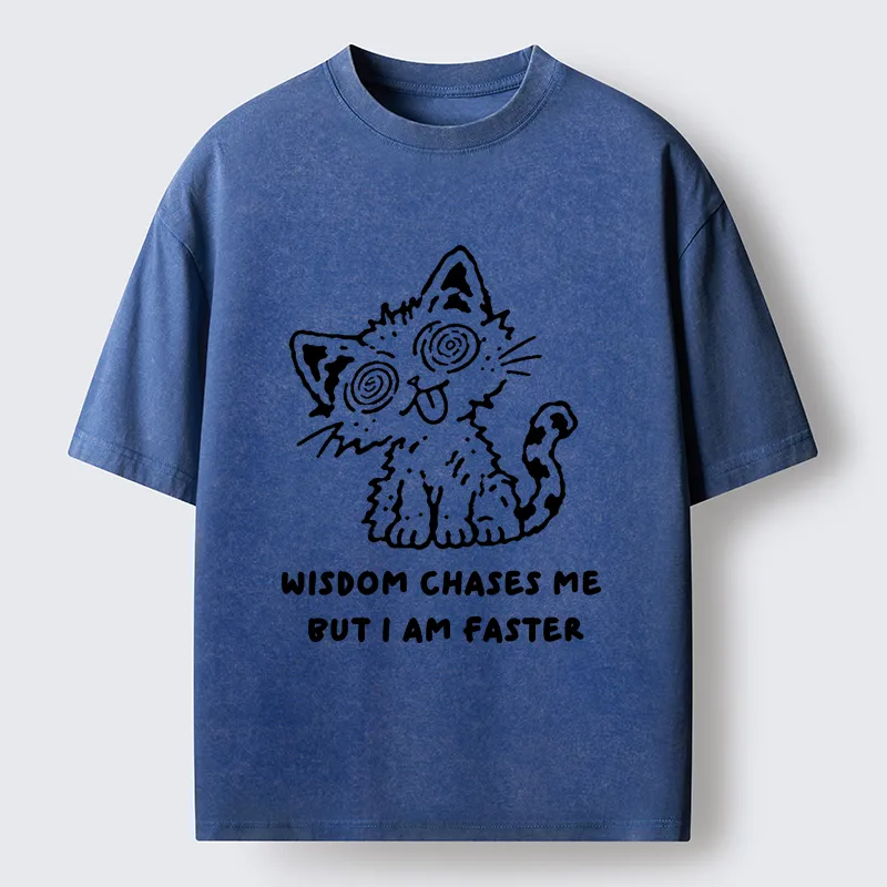 Tokyo-Tiger Escape Wisdom Cat Funny Meme Washed T-Shirt