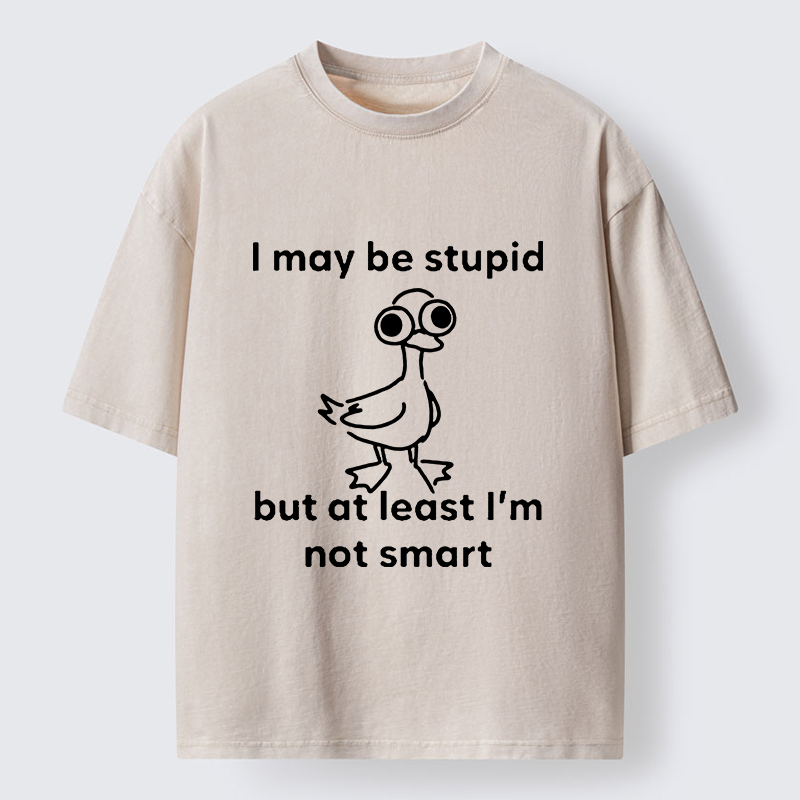 Tokyo‑Tiger Silly Duck Meme Washed T‑Shirt