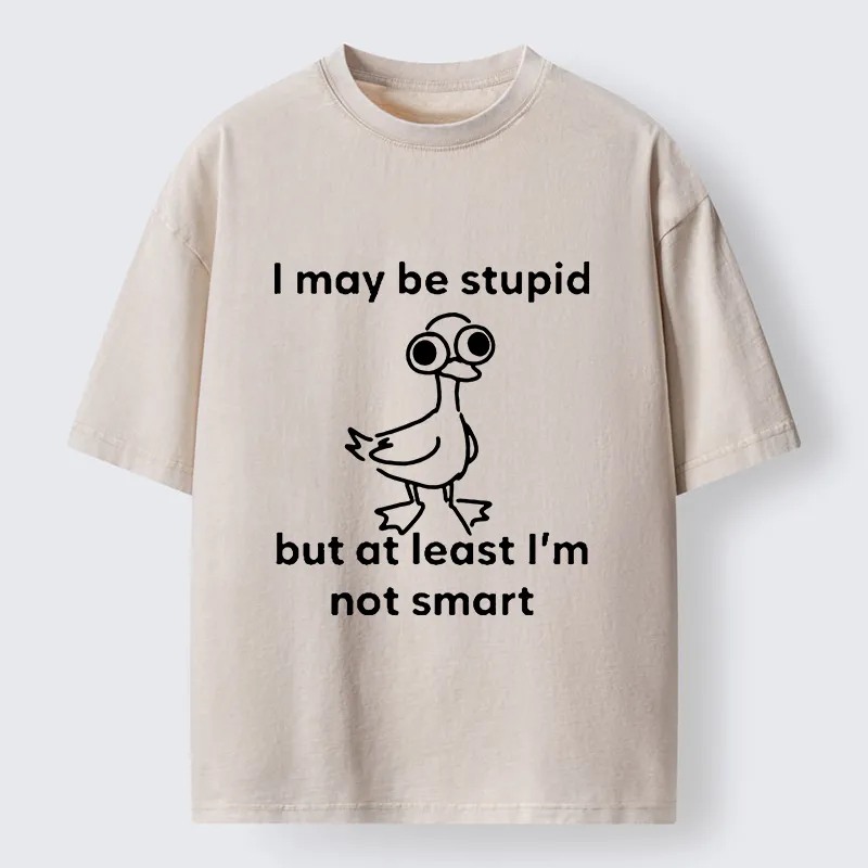 Tokyo‑Tiger Silly Duck Meme Washed T‑Shirt Sale