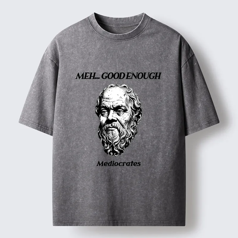 Tokyo-Tiger Meh Philosophy Meme Washed T-Shirt