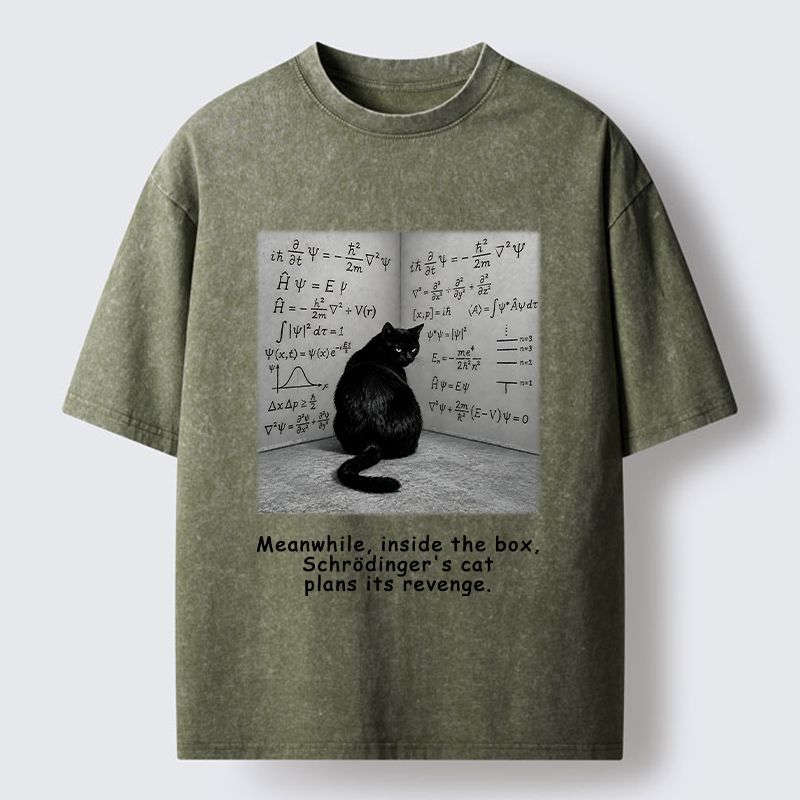 Tokyo-Tiger Box Black Cat Science Meme Washed T-Shirt
