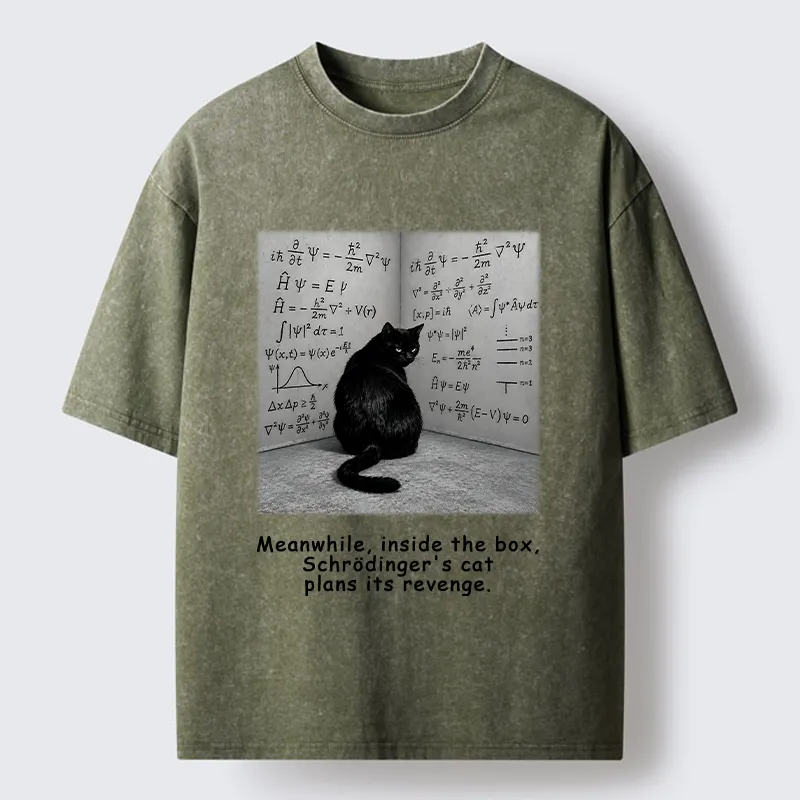 Tokyo-Tiger Box Black Cat Science Meme Washed T-Shirt