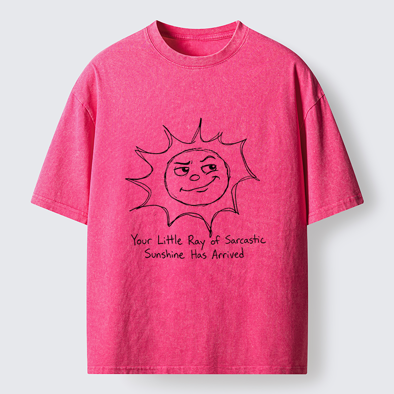 Tokyo-Tiger Funny Sarcasm Sun Meme Washed T-Shirt