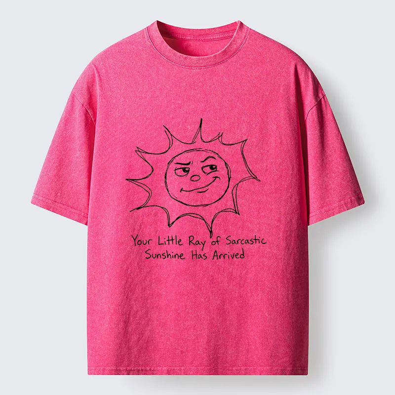 Tokyo-Tiger Funny Sarcasm Sun Meme Washed T-Shirt