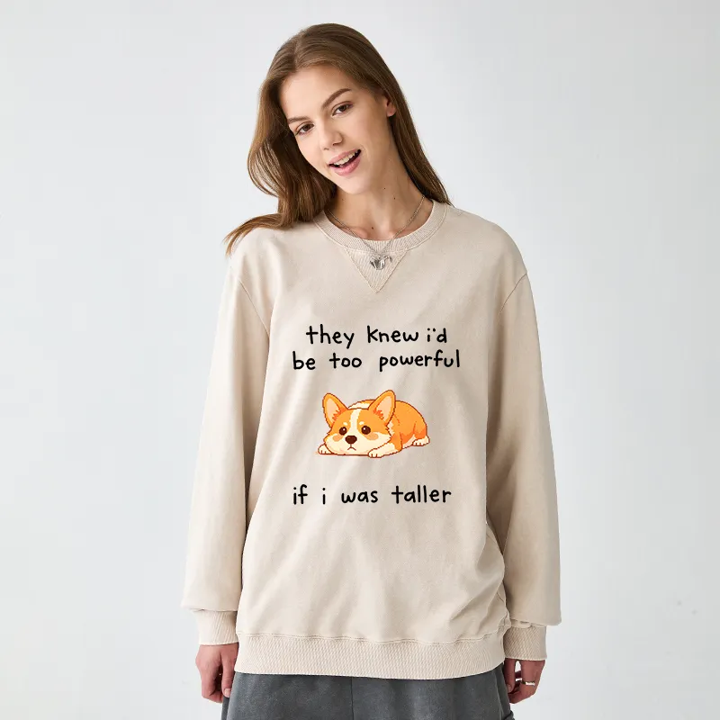 Tokyo-Tiger Funny Short Dog Joke Washed Terry Sweatshirt