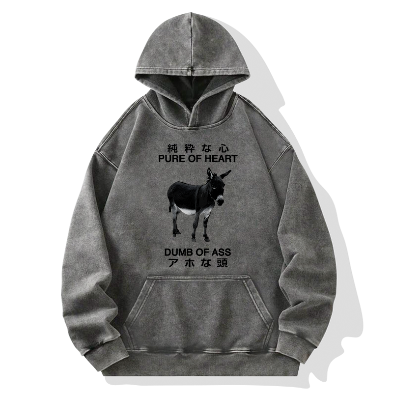 Tokyo-Tiger Pure Of Heart Dumb Of Ass Washed Hoodie