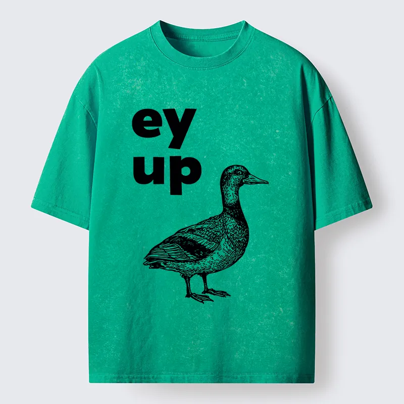 Tokyo-Tiger How Are You Dear Washed T-Shirt