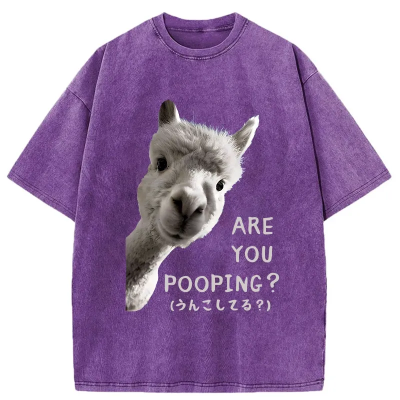 Tokyo-Tiger Are You Pooping Washed T-Shirt