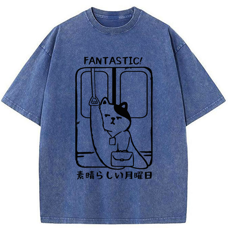 Tokyo-Tiger Great Monday Washed T-Shirt