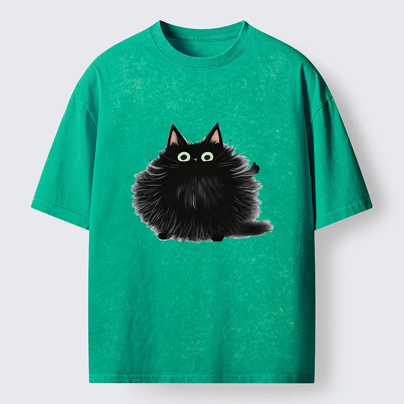 Tokyo-Tiger Cat's Approval Washed T-Shirt