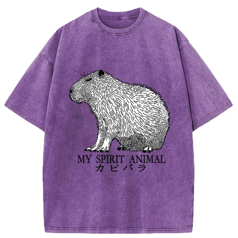 Tokyo-Tiger Capybara Spirit Washed T-Shirt