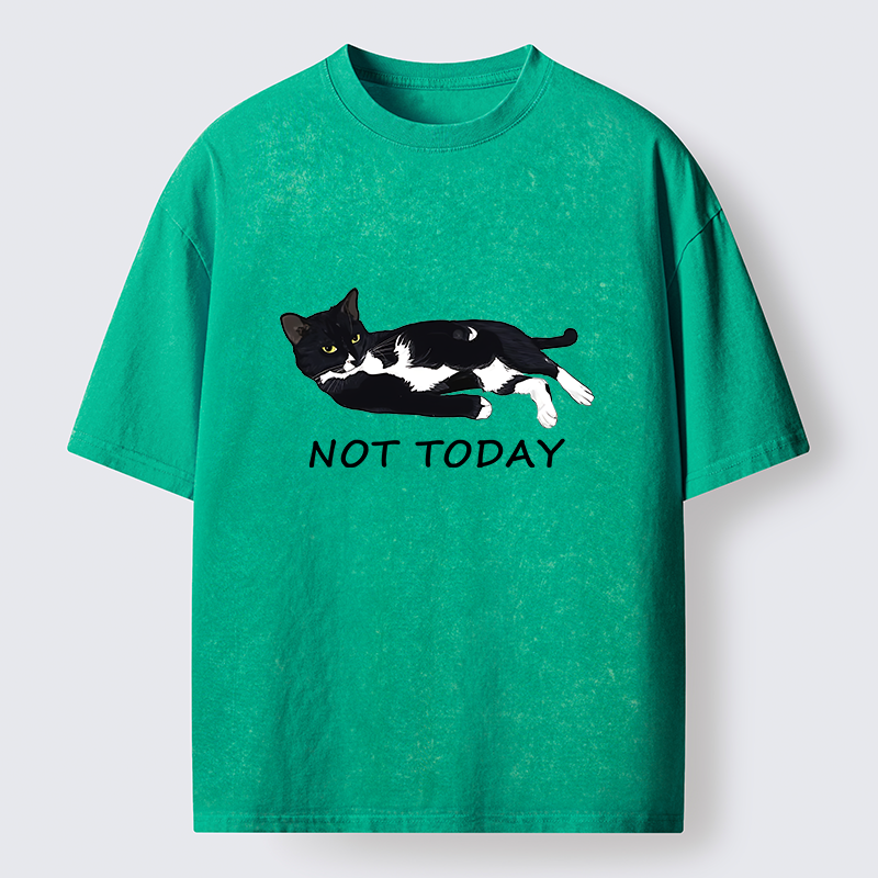 Tokyo-Tiger Cat Said Not Today Washed T-Shirt