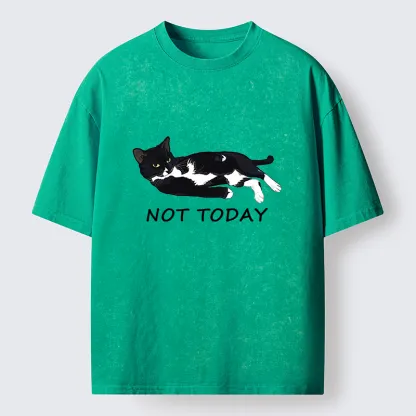 Tokyo-Tiger Cat Said Not Today Washed T-Shirt