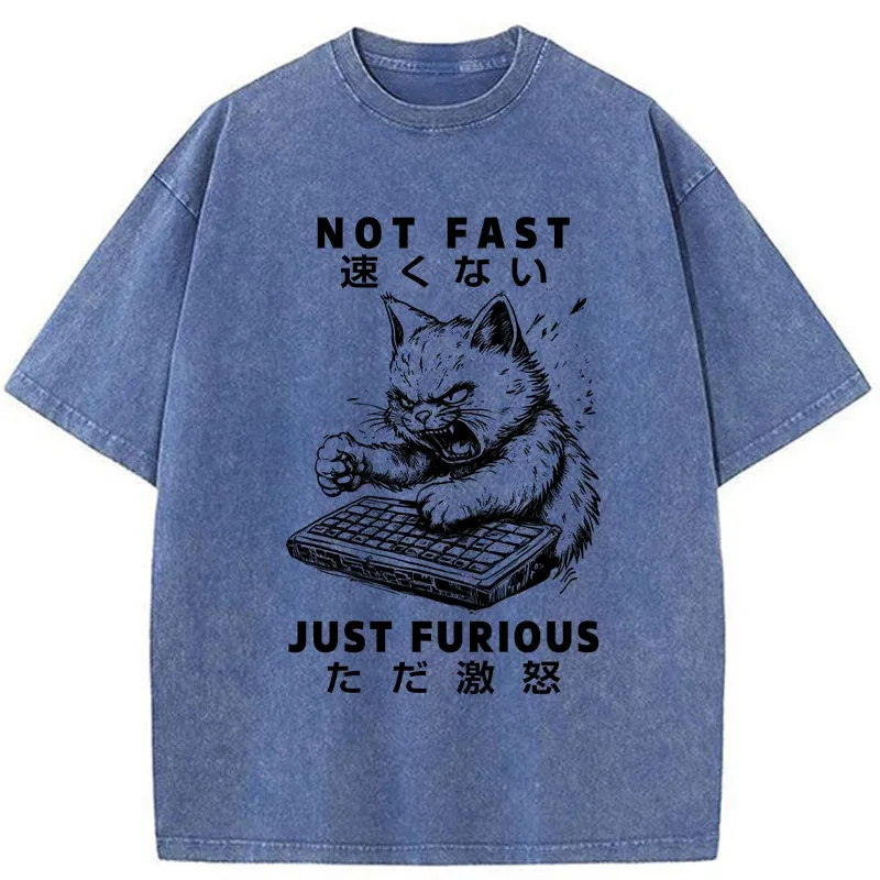 Tokyo-Tiger Not Fast Just Furious Washed T-Shirt