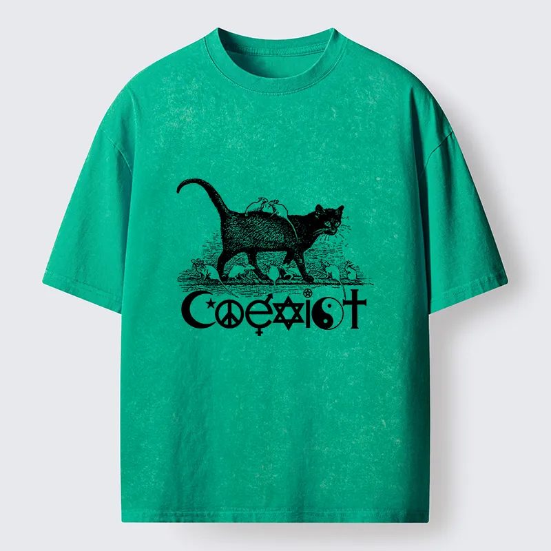 Tokyo-Tiger Coexist Funny Washed T-Shirt