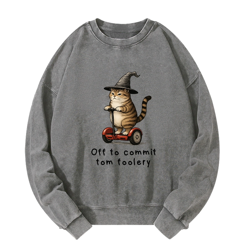 Tokyo-Tiger Orange Cat Riding Segway-style Washed Sweatshirt