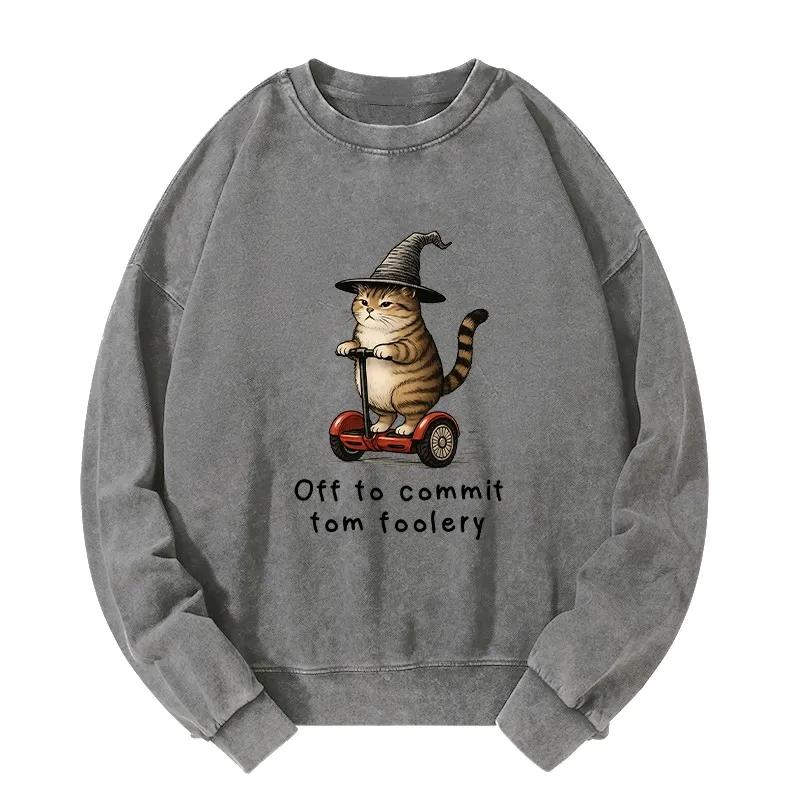 Tokyo-Tiger Orange Cat Riding Segway-style Washed Sweatshirt