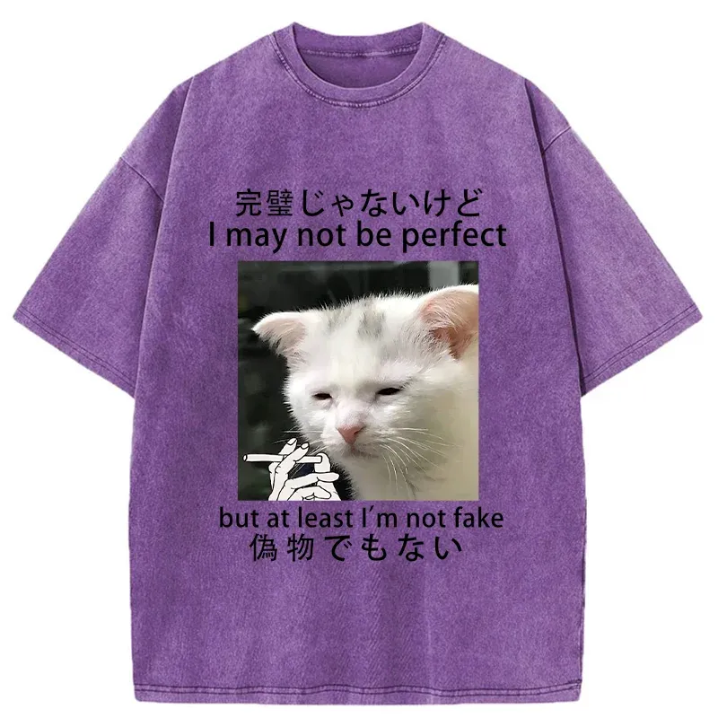 Tokyo-Tiger Cat Lamenting Life Washed T-Shirt