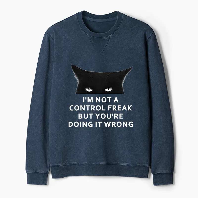 Tokyo-Tiger Control Freak Funny Washed Terry Sweatshirt