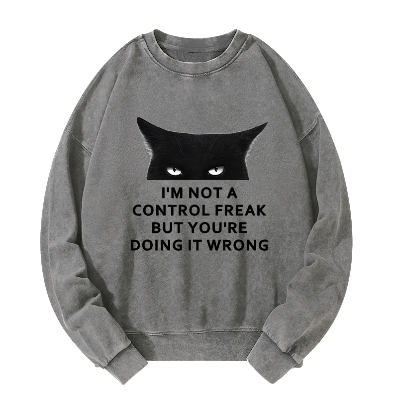 Tokyo-Tiger Control Freak Funny Washed Sweatshirt