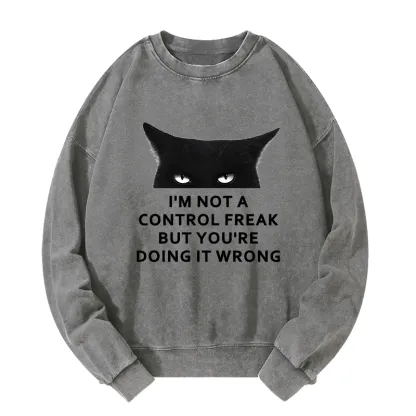 Tokyo-Tiger Control Freak Funny Washed Sweatshirt