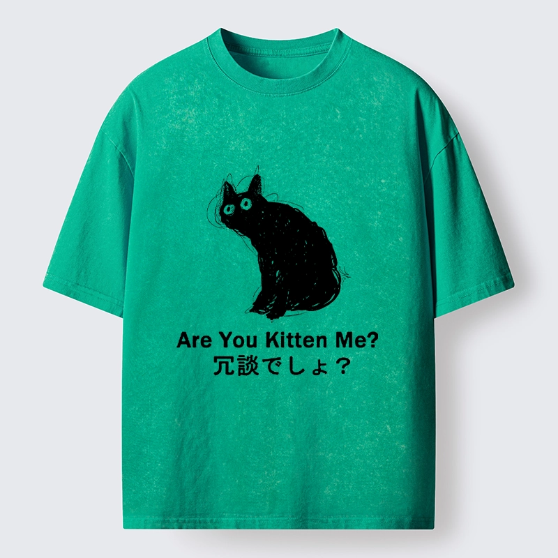 Tokyo-Tiger Are You Kitten Me Pun Art Washed T-Shirt