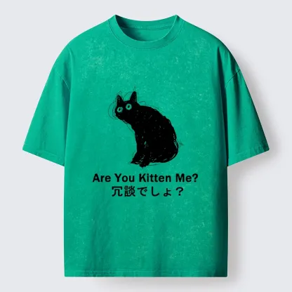 Tokyo-Tiger Are You Kitten Me Pun Art Washed T-Shirt