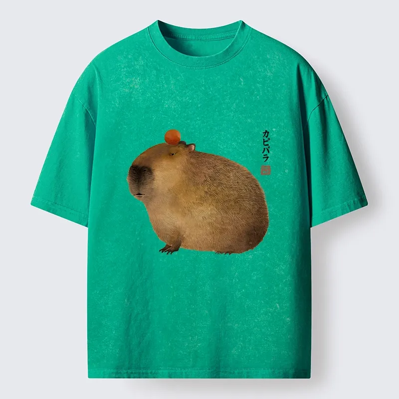 Tokyo-Tiger Calm Capybara Illustration Washed T-Shirt