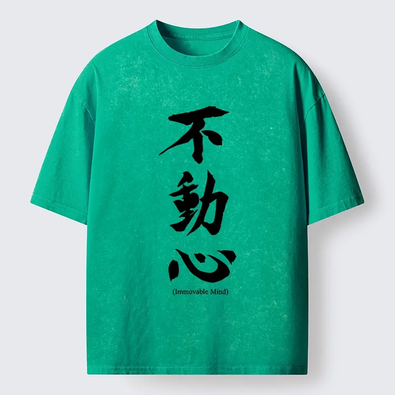 Tokyo-Tiger Fudoshin Art Of Calm Mind Washed T-Shirt