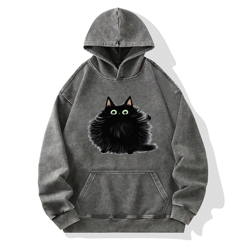 Tokyo-Tiger Cat's Approval Washed Hoodie