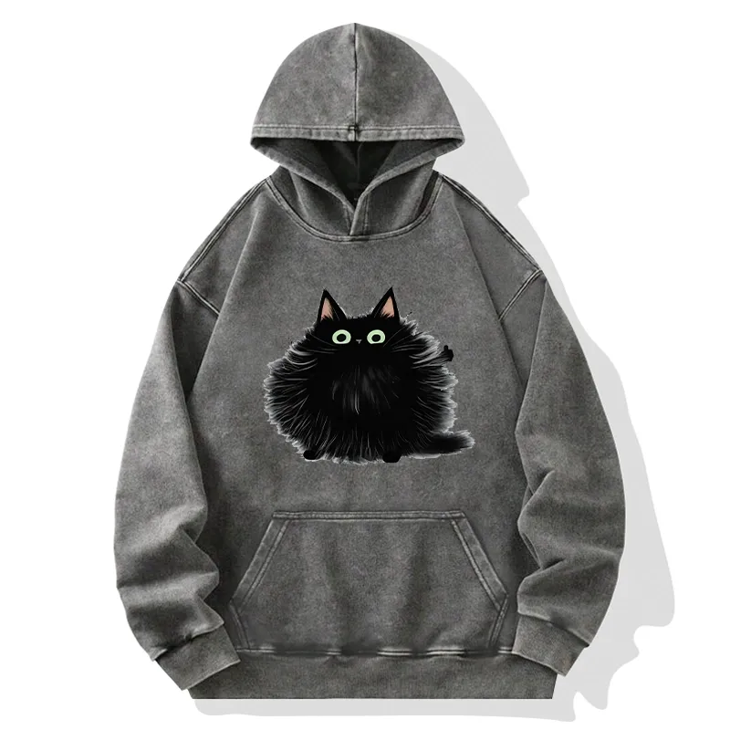 Tokyo-Tiger Cat's Approval Washed Hoodie