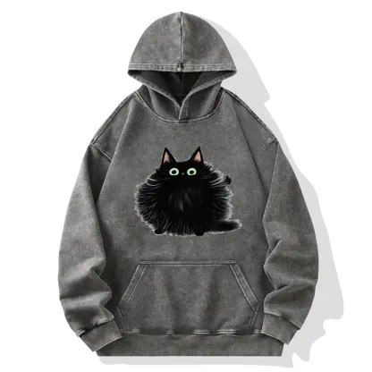 Tokyo-Tiger Cat's Approval Washed Hoodie