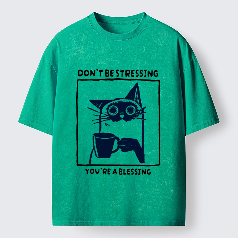 Tokyo-Tiger Coffee Cat Blessing Meme Washed T-Shirt