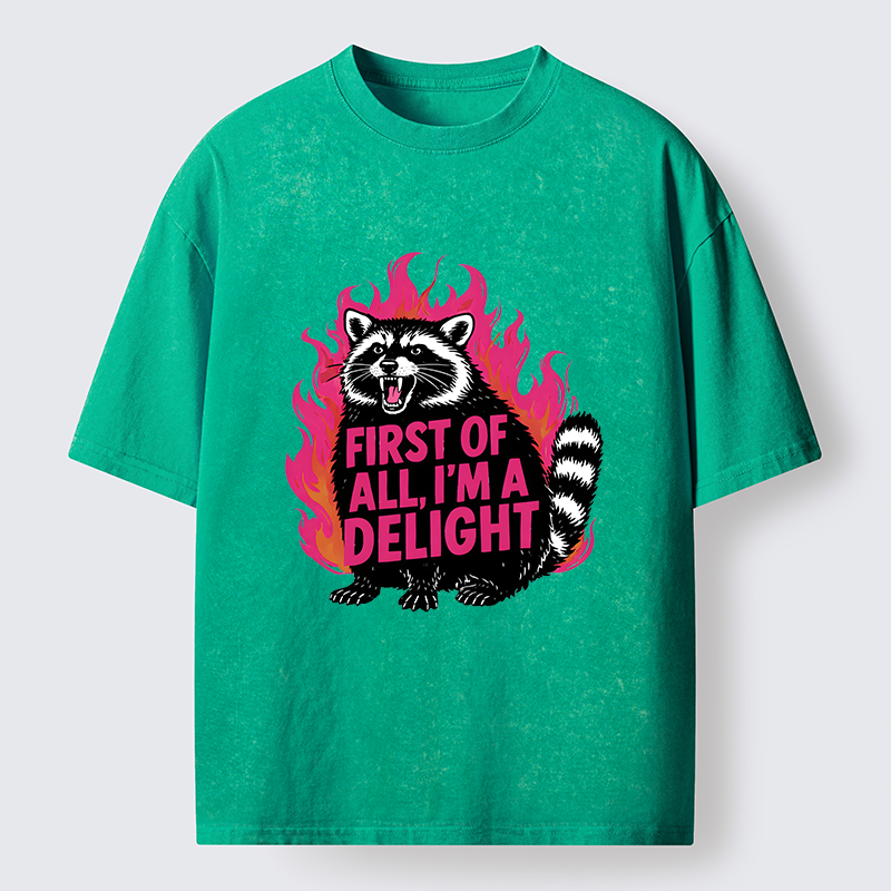 Tokyo-Tiger Angry Raccoon Funny Washed T-Shirt