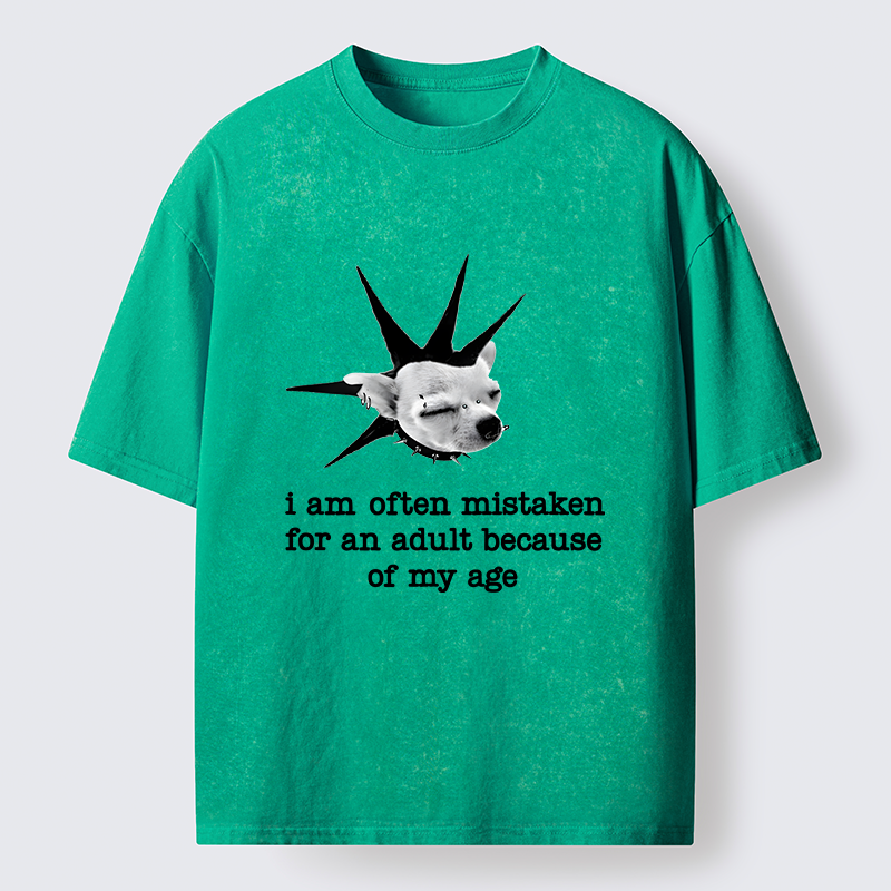 Tokyo-Tiger My Mental Age Is Very Young Washed T-Shirt